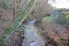 11.-Looking-upstream-from-Willoughby-Cleeve-Bridge