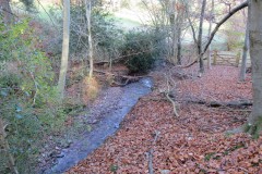 15.-Downstream-from-Willoughby-Cleeve-2