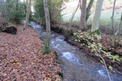 15.-Downstream-from-Willoughby-Cleeve-3