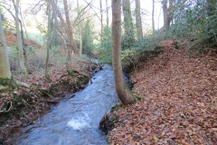 15.-Downstream-from-Willoughby-Cleeve-4