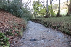 15.-Downstream-from-Willoughby-Cleeve-5
