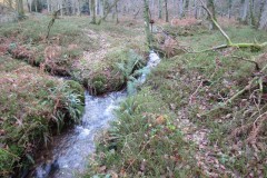 2.-Somerton-and-Shepherds-Combe-Waters-join