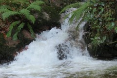 23.-Weir-upstream-from-join-with-River-Holford