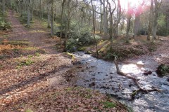 3.-Flowing-through-Hodder-Combe-1