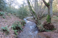 3.-Flowing-through-Hodder-Combe-10