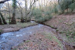3.-Flowing-through-Hodder-Combe-12