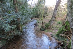 3.-Flowing-through-Hodder-Combe-13
