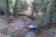 3.-Flowing-through-Hodder-Combe-14