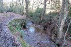 3.-Flowing-through-Hodder-Combe-16