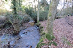 3.-Flowing-through-Hodder-Combe-17