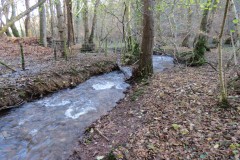 3.-Flowing-through-Hodder-Combe-2