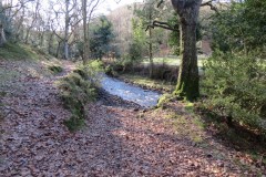 3.-Flowing-through-Hodder-Combe-23