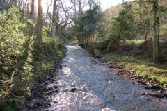 3.-Flowing-through-Hodder-Combe-24