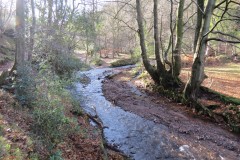 3.-Flowing-through-Hodder-Combe-26