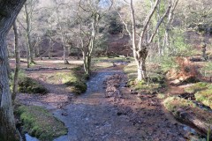 3.-Flowing-through-Hodder-Combe-27