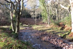 3.-Flowing-through-Hodder-Combe-29