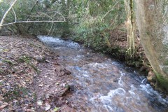 3.-Flowing-through-Hodder-Combe-3