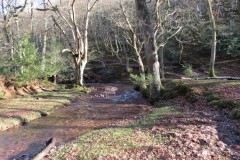 3.-Flowing-through-Hodder-Combe-30
