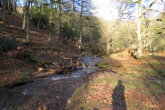 3.-Flowing-through-Hodder-Combe-31
