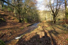 3.-Flowing-through-Hodder-Combe-32