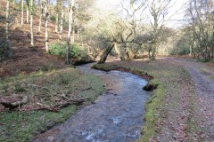 3.-Flowing-through-Hodder-Combe-33