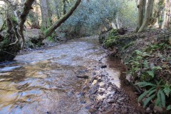 3.-Flowing-through-Hodder-Combe-4