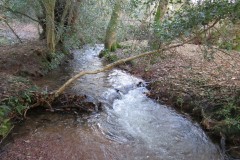 3.-Flowing-through-Hodder-Combe-5