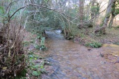 3.-Flowing-through-Hodder-Combe-7