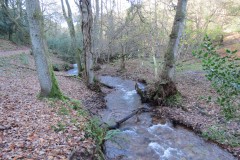 3.-Flowing-through-Hodder-Combe-9