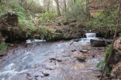 38.-Hodder-Combe-Waters-join-River-Holford
