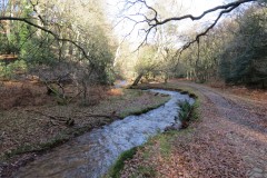 4.-Flowing-through-Hodder-Combe-34