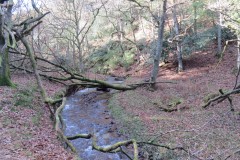 4.-Flowing-through-Hodder-Combe-35