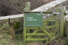 14.-Pill-Bridge