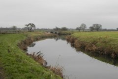 20.-Downstream-from-Pill-Bridge
