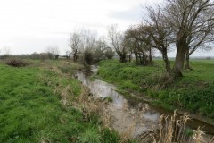 11.-Looking-upstream-to-mill-leat-top-sluice-1