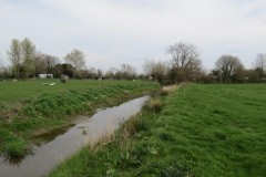12.-Upstream-from-Isle-Brewers-Mill-1