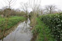12.-Upstream-from-Isle-Brewers-Mill-2
