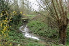 17.-Isle-Brewers-Mill-tail-race