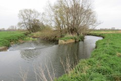 1b.-Mill-stream-start