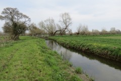 6.-Looking-downstream-to-mill-leat-top-sluice