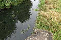 22.-Old-sluice-structure-2