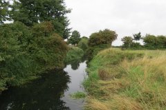 23.-Downstream-from-old-sluice