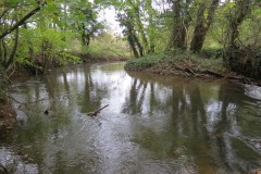 1.-Looking-upstream-from-Wellisford-Manor-Weir