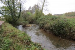 10.-Upstream-from-Wellisford-Bridge