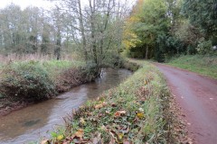 11.-Upstream-from-Wellisford-Bridge