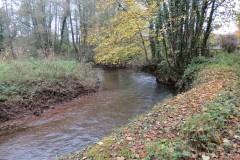 12.-Upstream-from-Wellisford-Bridge