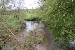 13.-Looking-upstream-from-Wellisford-Bridge