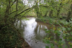 1a.-Looking-upstream-from-Wellisford-Manor-Weir