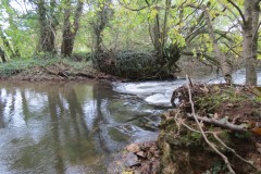 2.-Wellisford-Manor-Weir-1