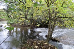 2.-Wellisford-Manor-Weir-2